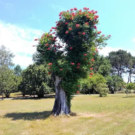 Le Domaine De L'isle *